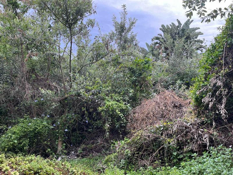 Prime Vacant Land in Zimbali – One of the Last Remaining Opportunities. - Photo 4