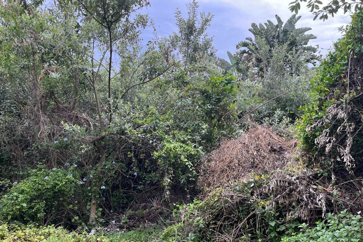 Prime Vacant Land in Zimbali – One of the Last Remaining Opportunities. - Photo 4