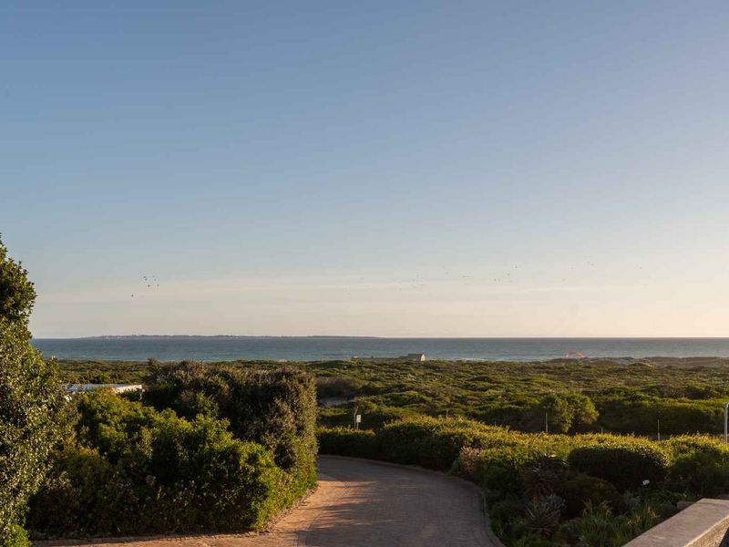 A scenic elevated view overlooking coastal vegetation and the ocean horizon, featuring a paved driveway leading towards the landscape.