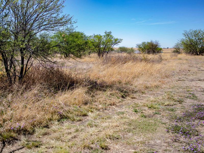 Vacant Land near Weltevrede Dam, Koppies - Plot 351 - Photo 4
