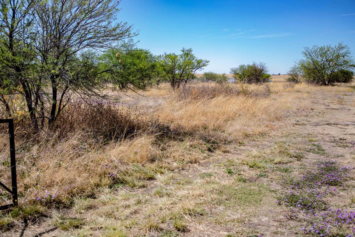 Vacant Land near Weltevrede Dam, Koppies - Plot 351 - Photo 4