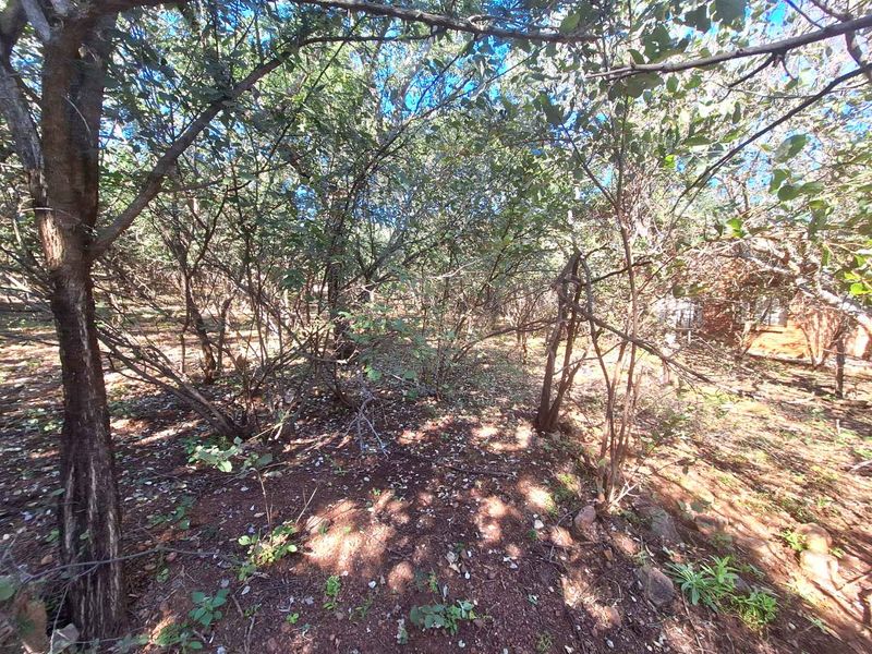 Secure Your Slice of Leeupoort's Natural Beauty Today - Photo 2