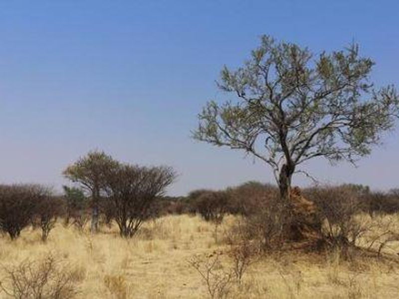 Beautiful Plot available, 15km North of Okahandja - Photo 2