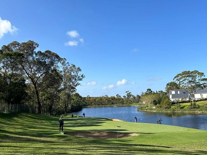 A scenic view of a golf course green overlooking a tranquil lake, showcasing well-maintained landscaping and natural surroundings.