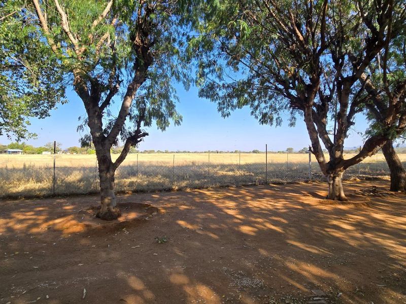 Small Holding For Sale Otavi - Photo 3