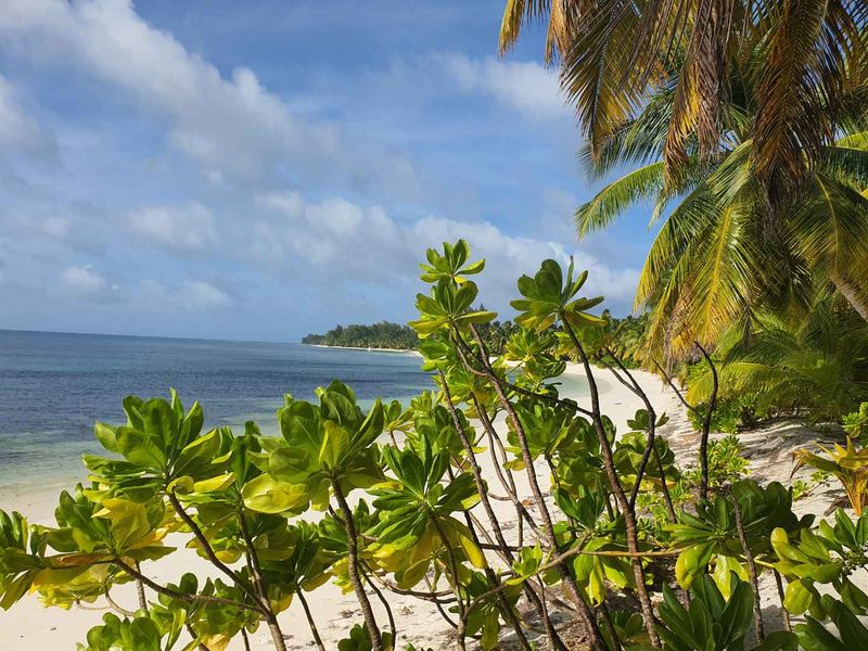 EXCEPTIONAL PRIVATE BEACH VILLA ON THE IDYLLIC DESROCHES ISLAND - Photo 7