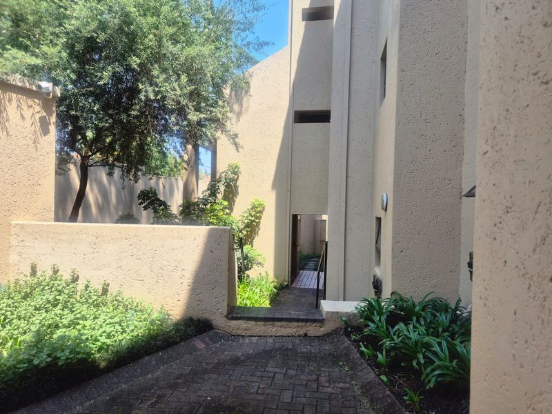 A view of the rear exterior area featuring a paved walkway, textured walls, and established garden landscaping.