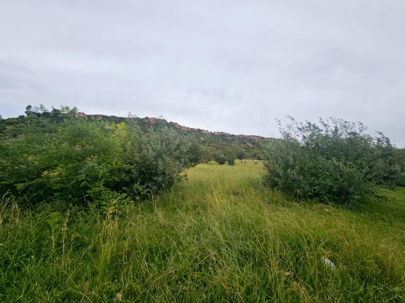 **Prime Vacant Land Opportunity at the Mountain's Edge** - Photo 4