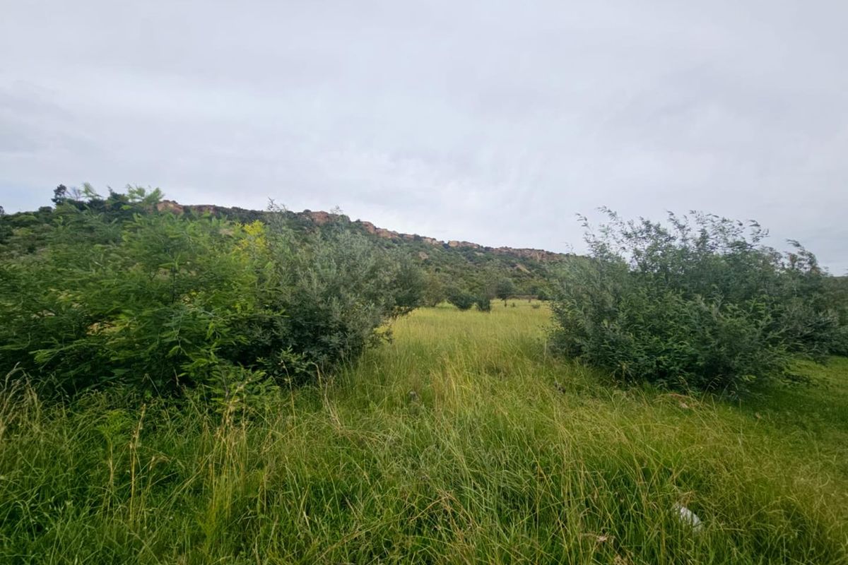 **Prime Vacant Land Opportunity at the Mountain's Edge** - Photo 4