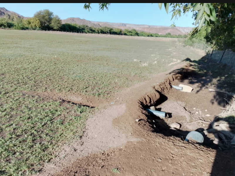 Irrigation farm located near Noordoewer with canal water available. - Photo 6
