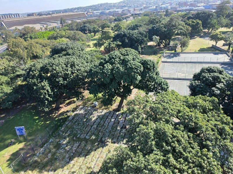 An elevated aerial view overlooking a green park area featuring mature trees, landscaped grounds, and a paved sports court.