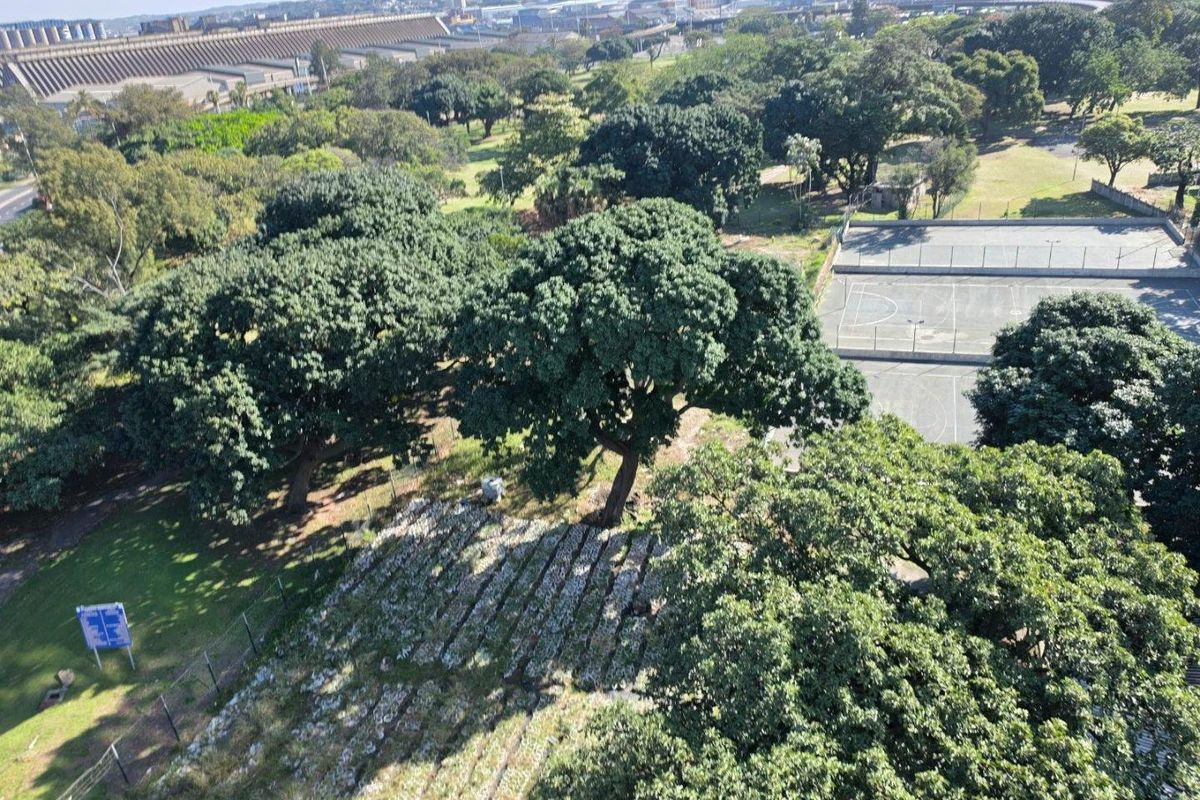 An elevated aerial view overlooking a green park area featuring mature trees, landscaped grounds, and a paved sports court.