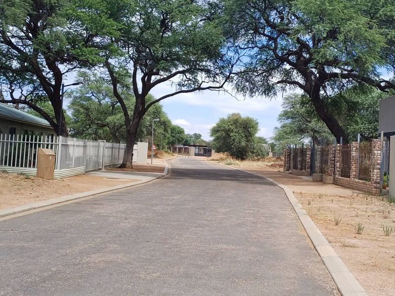A view of a paved residential street lined with mature trees, featuring established boundary walls and security fencing on both sides.