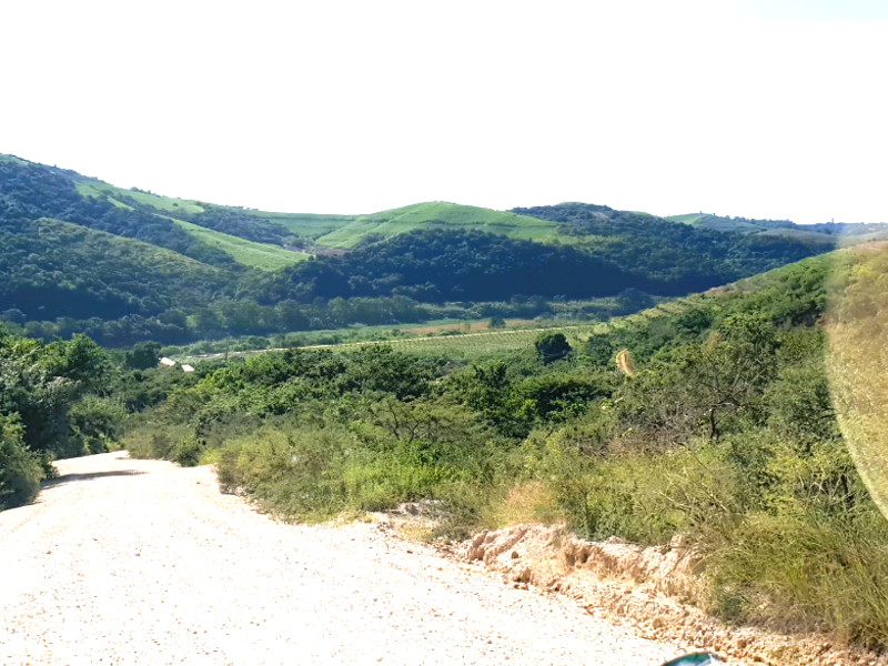 Farm for Sale Port Shepstone - Photo 5