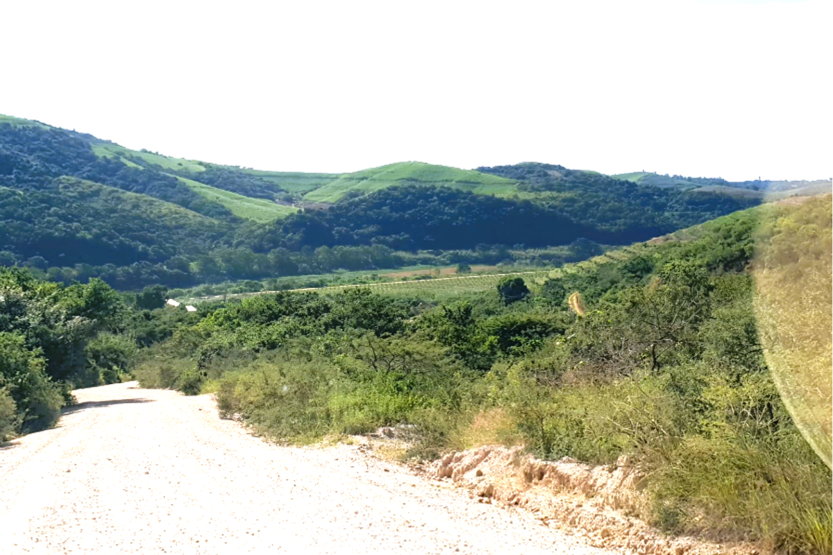 A scenic view of a rural gravel road winding through a lush, hilly landscape on a farm property.