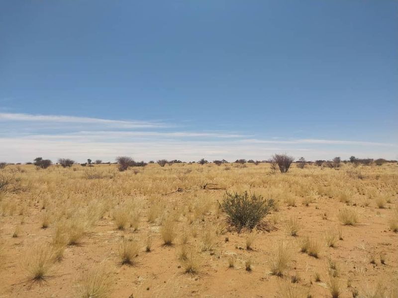 South Rehoboth - Photo 7