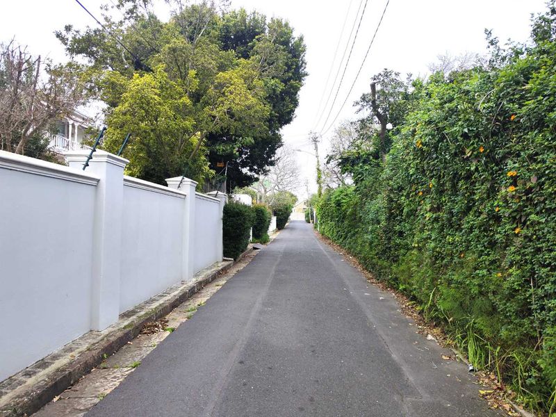 Spacious 2 bedroom home with office space in Rondebosch - Photo 4