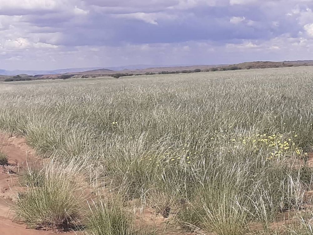 View of the field after the rain. 
