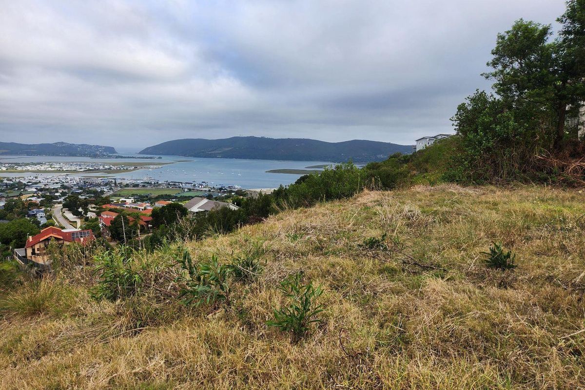 This fabulous land is a rare find - Photo 2