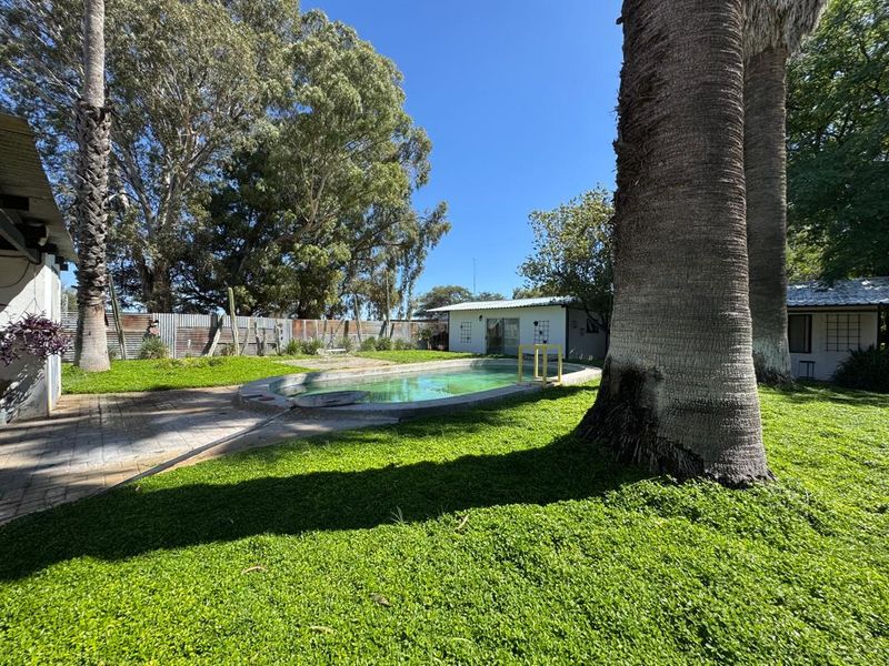 Outdoor pool area featuring a swimming pool, paved patio space, and mature palm trees set within a fenced garden environment.