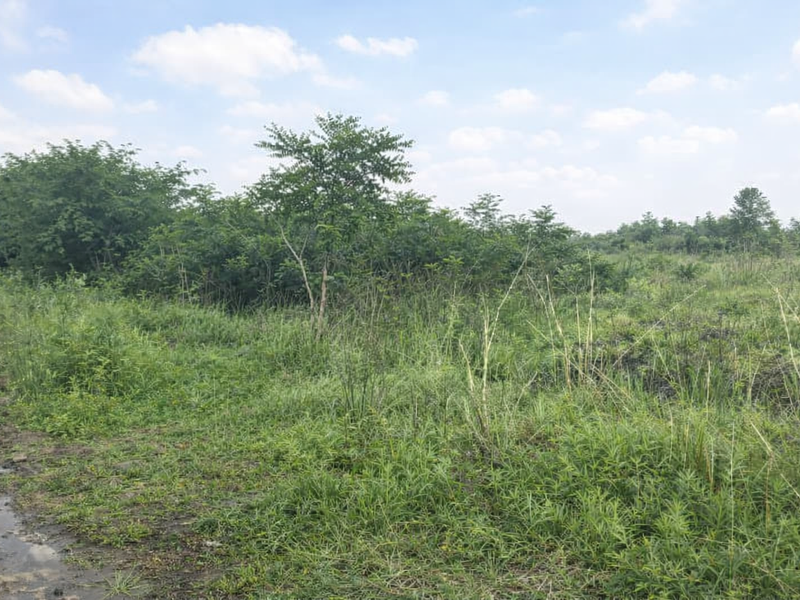 Vacant Land For Sale - Photo 7