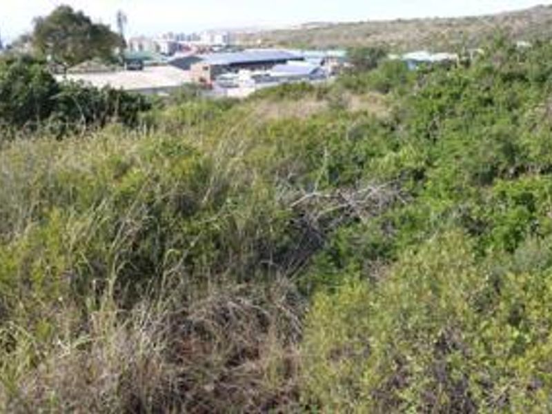3968m2 Industrial Land for Sale in Diaz Industrial - Photo 9