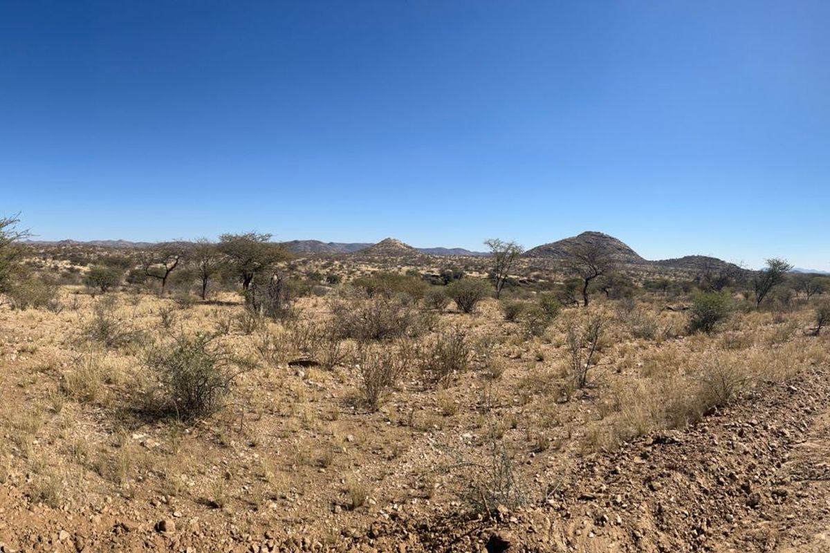 A panoramic view of the expansive, arid landscape featuring natural vegetation and a dirt access road.
