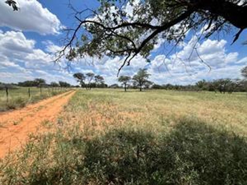 Discover this incredible 4500ha farm offering a perfect blend of modern infrastructure, abundant water resources, and rich wildlife - Photo 5