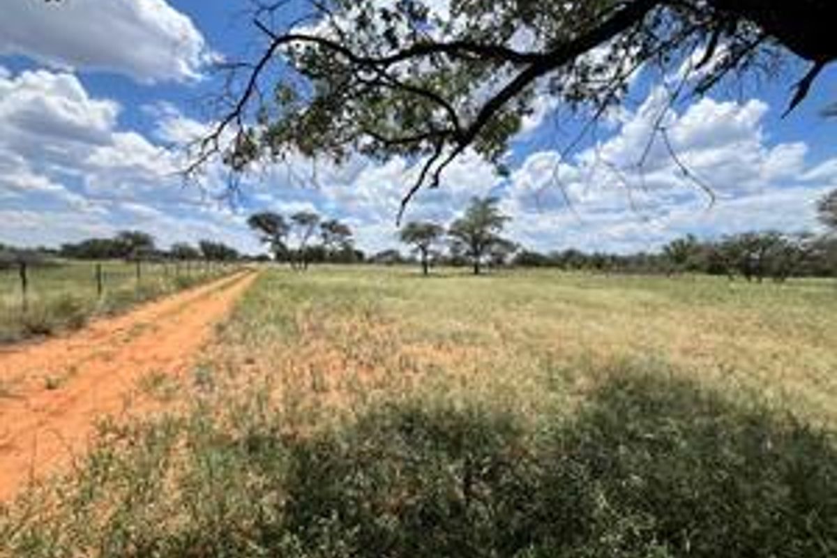 Discover this incredible 4500ha farm offering a perfect blend of modern infrastructure, abundant water resources, and rich wildlife - Photo 5