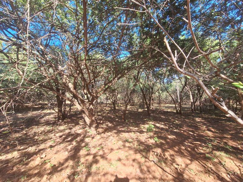 Escape to Leeupoort - Natures Sanctuary Near Pretoria - Photo 4