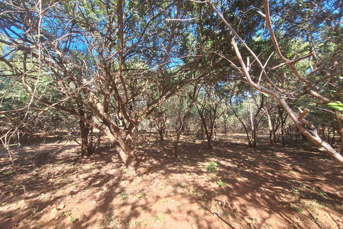 Escape to Leeupoort - Natures Sanctuary Near Pretoria - Photo 4