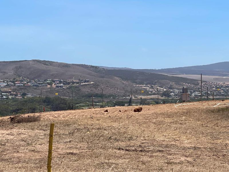 958m2 Vacant Stand For Sale in Hartland Lifestyle Estate - Exclusive Opportunity - Photo 4