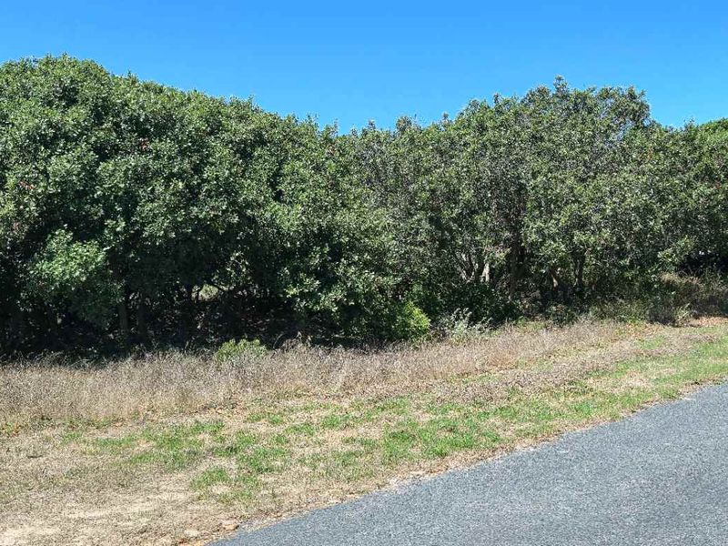 Prime Corner Stand in Kleinbaai – Excellent Investment Opportunity - Photo 7