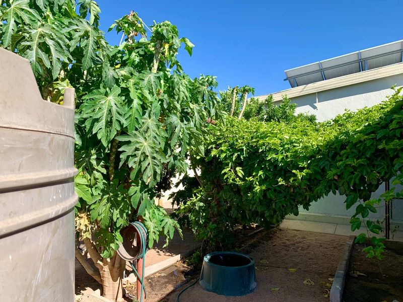 Okahandja 🌟 Live Luxuriously, Sustainably! 🌟 - Photo 4