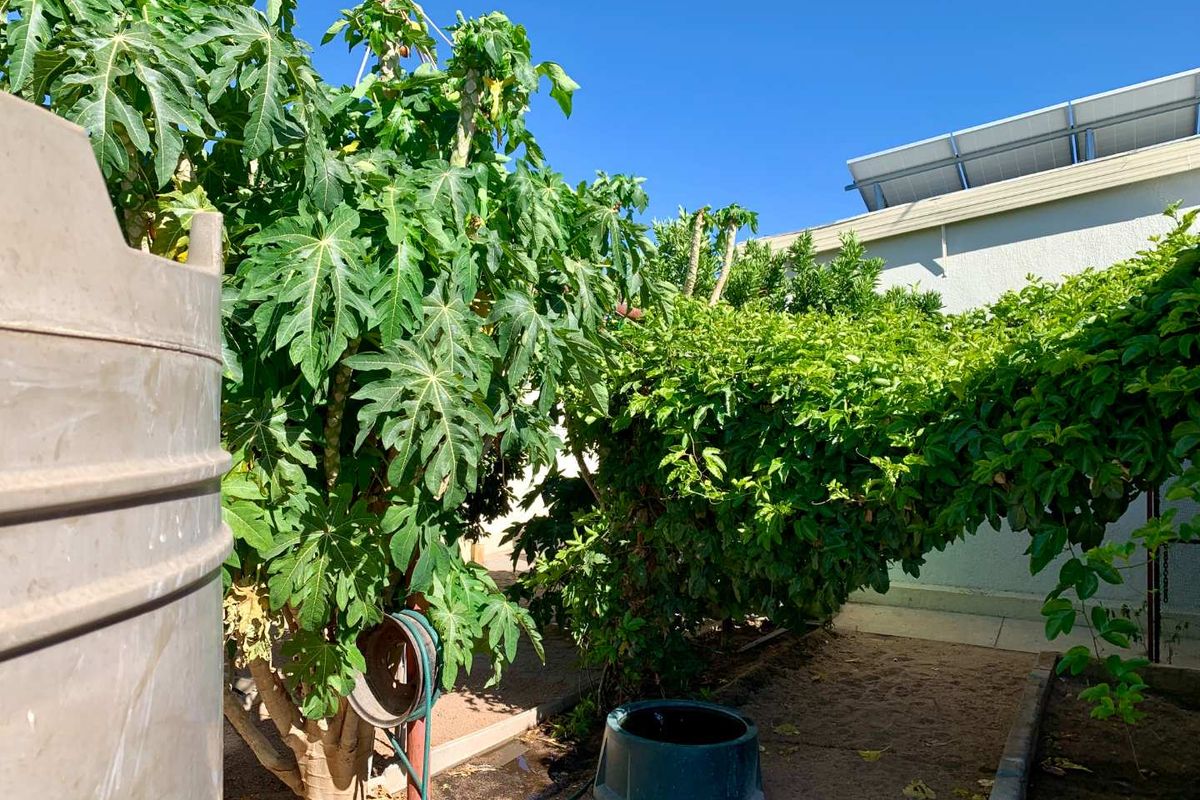 Okahandja 🌟 Live Luxuriously, Sustainably! 🌟 - Photo 4