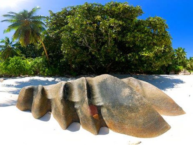 OFF MARKET OPPORTUNITY TO ACQUIRE AND OWN A PRIVATE ISLAND IN THE INCREDIBLE SEYCHELLES - Photo 8