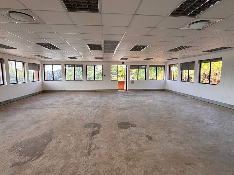 A spacious, open-plan office area featuring a suspended ceiling, recessed lighting, and extensive windows providing natural light, with unfinished concrete flooring.