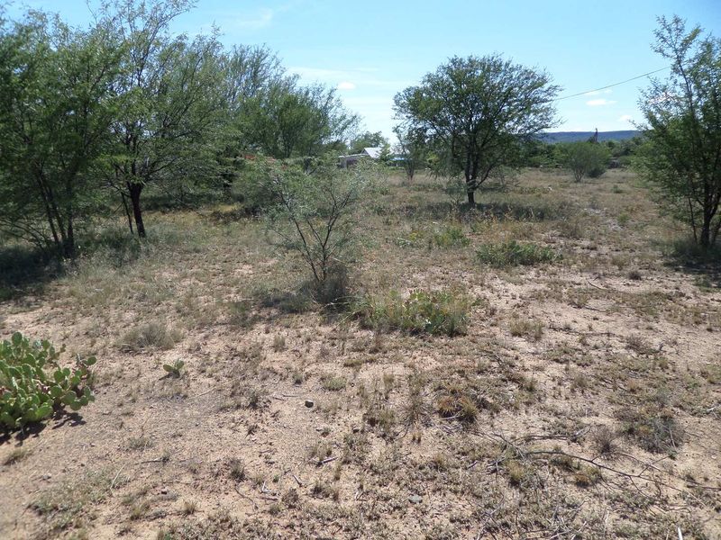 ZEBRA CROSSING - Photo 5