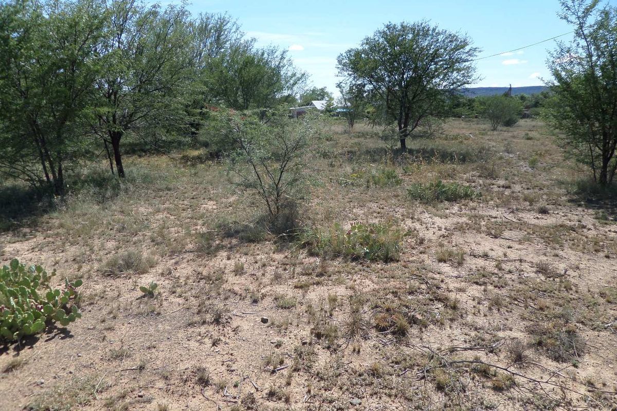 ZEBRA CROSSING - Photo 5