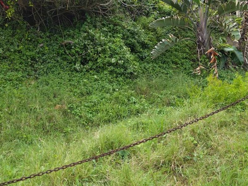 Investor Dream Land - Photo 6