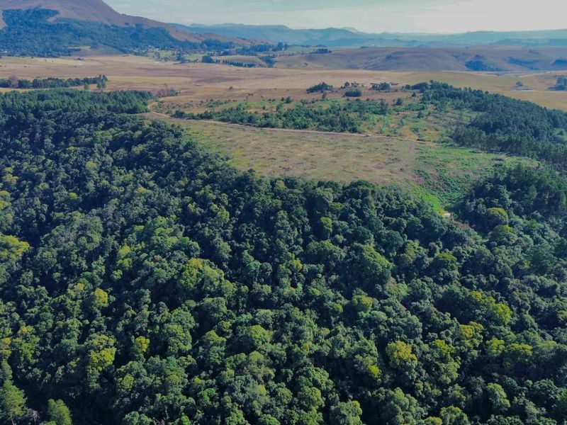 25-Hectare Vacant Land with Forest and Panoramic Views in the Midlands, Howick Rural - Photo 7