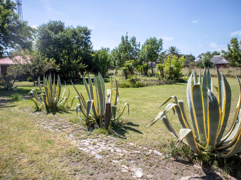 TWO PROPERTIES FOR THE PRICE OF ONE! 4 Bedroom with Flat - Business Rights - Photo 2