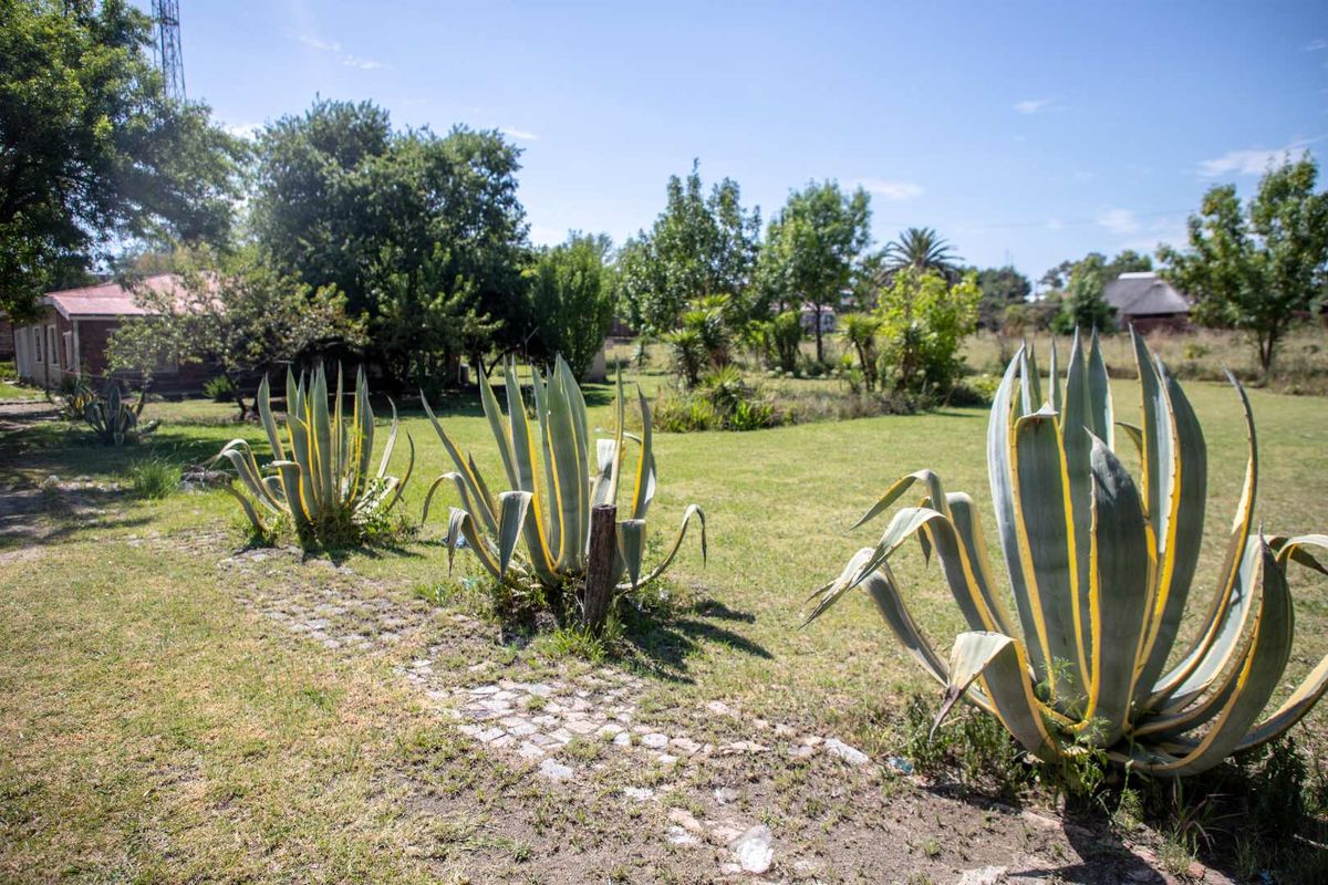 TWO PROPERTIES FOR THE PRICE OF ONE! 4 Bedroom with Flat - Business Rights - Photo 2