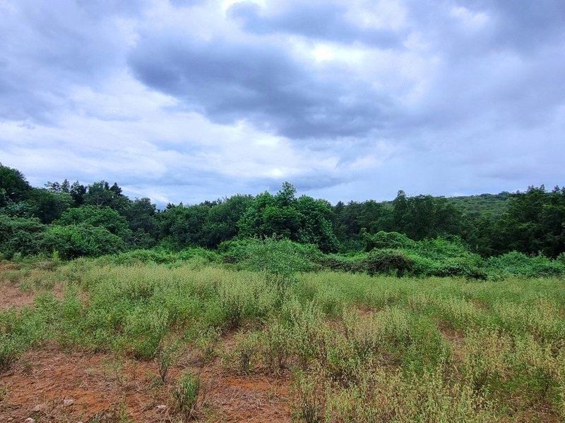 A view of a vacant residential plot featuring natural vegetation and mature trees under a cloudy sky.