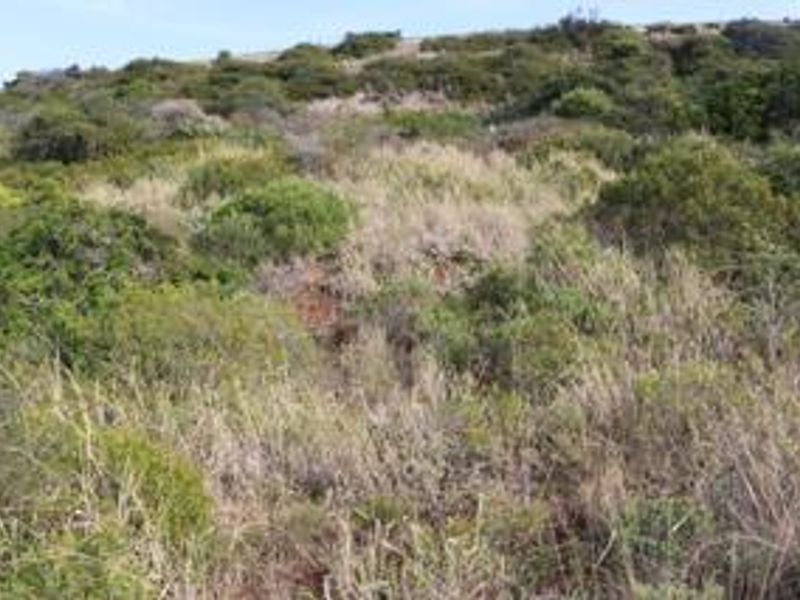 Prime Industrial Land - 3864m2 Vacant Land for sale in Diaz Industrial - Photo 2