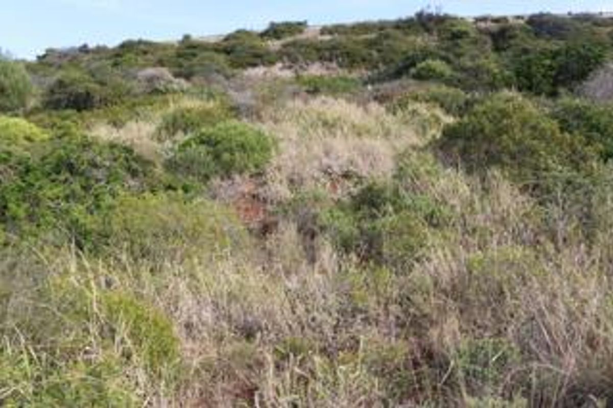 Prime Industrial Land - 3864m2 Vacant Land for sale in Diaz Industrial - Photo 2