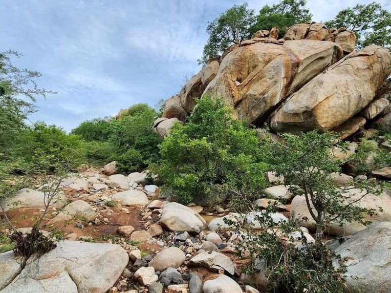 Commercial Lodge for sale - Photo 3