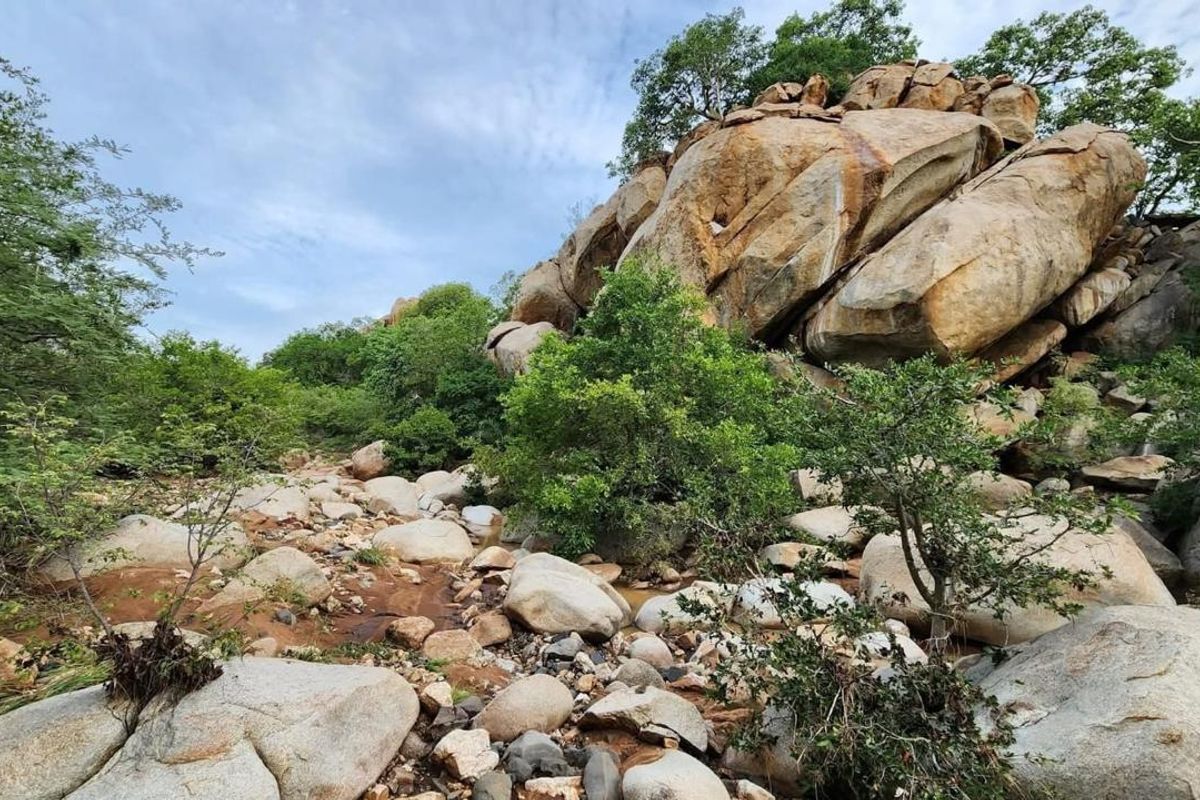 Commercial Lodge for sale - Photo 3