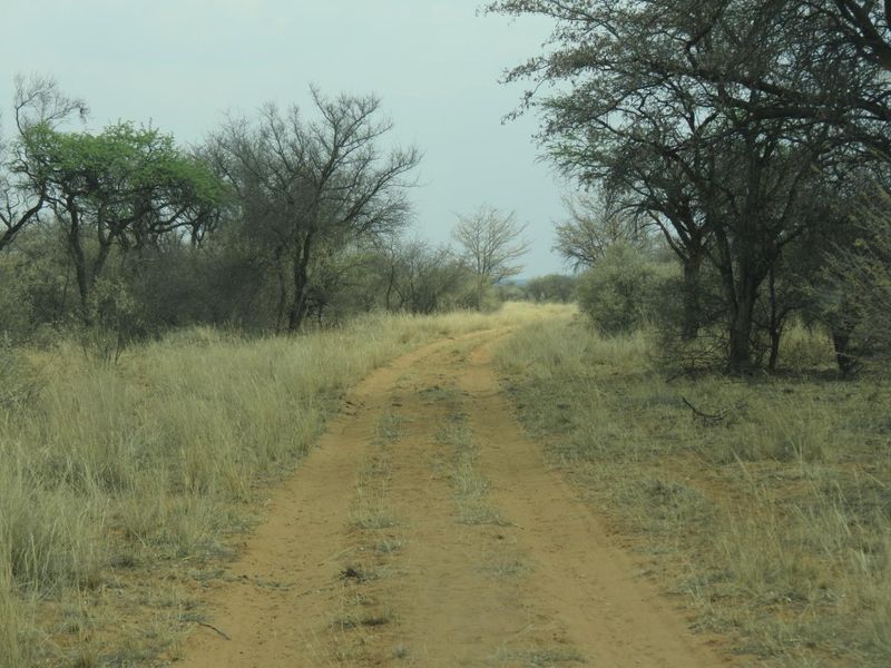 FOR SALE - FARM IN THE HOCHFELD AREA, NAMIBIA - Photo 3