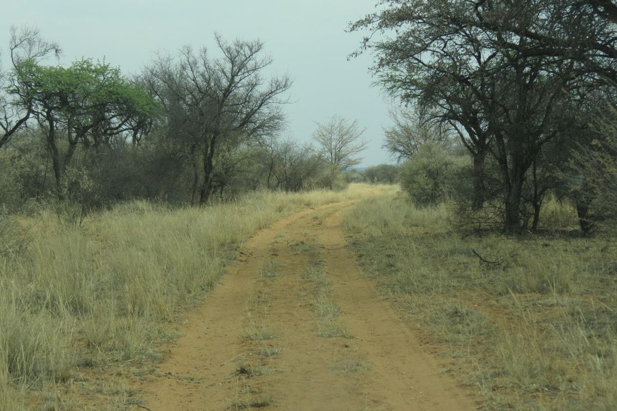 FOR SALE - FARM IN THE HOCHFELD AREA, NAMIBIA - Photo 3